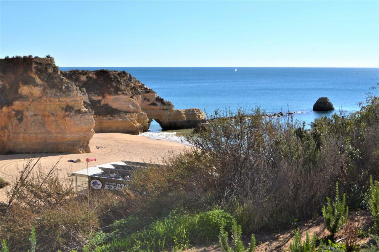 Water Green House - Praia Da Rocha بورتيماو المظهر الخارجي الصورة